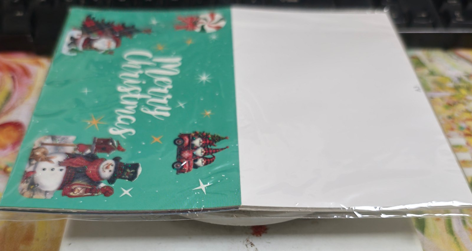 Christmas greeting cards set A3 — green Christmas card with Santa and snowman design in a protective sleeve